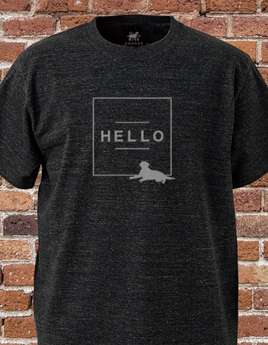 HELLO Tシャツ [B]