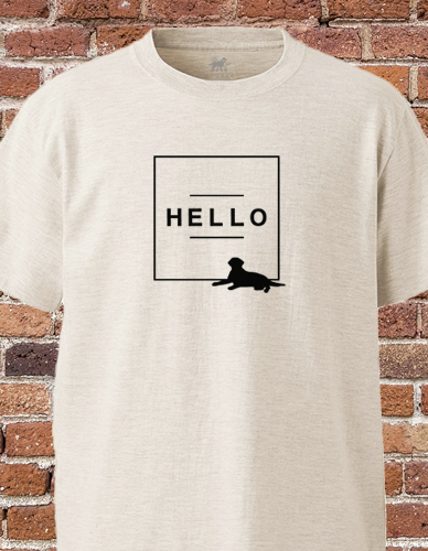 HELLO Tシャツ [O]